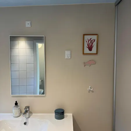 Smukt Naer C Inkl Rengoring ريب