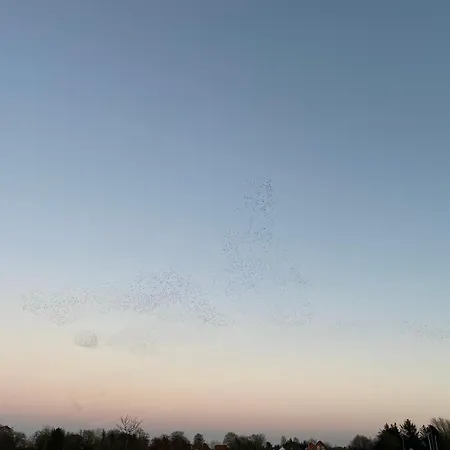 Smukt Naer C Inkl Rengoring بيت للعطل ريب