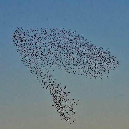 بيت للعطل Smukt Naer C Inkl Rengoring ريب